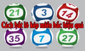 Bí Kíp Soi Cầu Chạm Và Bạch Thủ Từ Giải Đặc Biệt Chính Xác Nhất