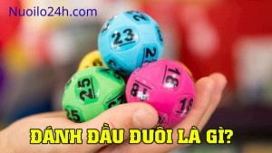 Sổ Đầu Đuôi Là Gì?