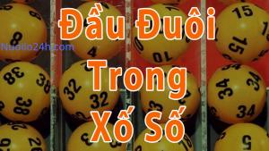 Sổ Đầu Đuôi Là Gì?