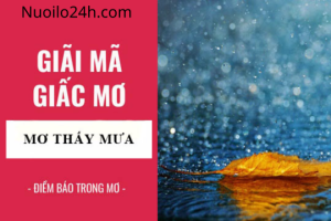 Mộng Thấy Trời Mưa